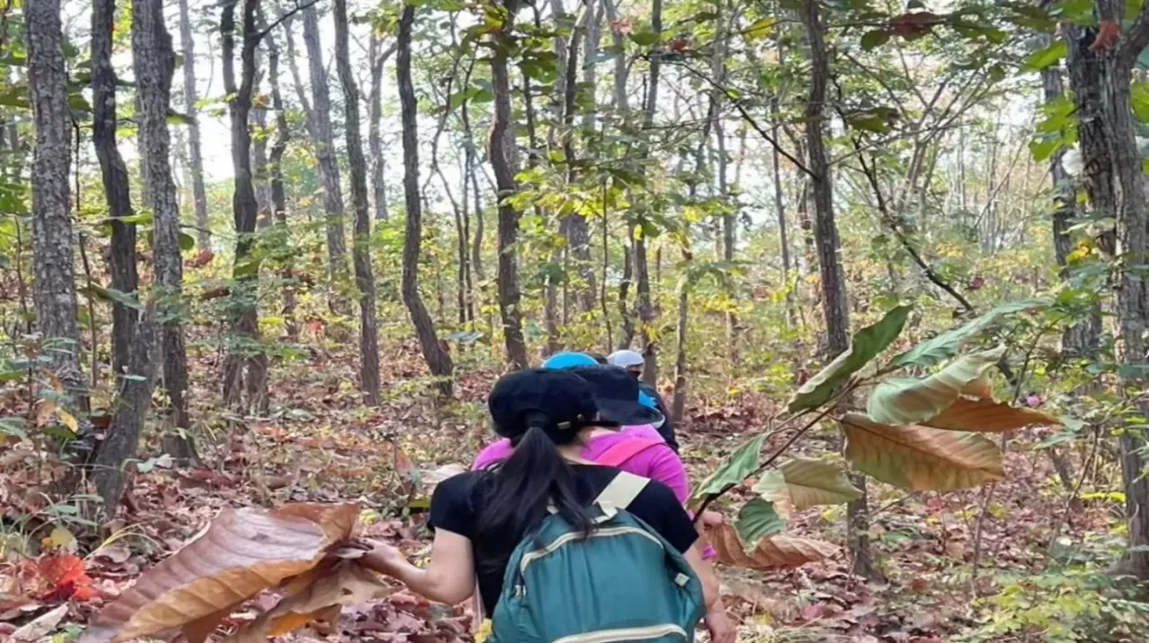 a group of people walking through a forest at Downtown Oasis 芭提雅市中心独栋泳池别墅 A 5卧6卫 KTV BBQ 芭提雅海滩步行街500m in Pattaya South