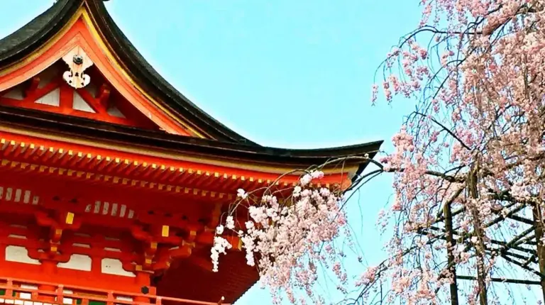 a building with a cherry tree in front of it at EnSe Kiyomizu Villa in Kyoto