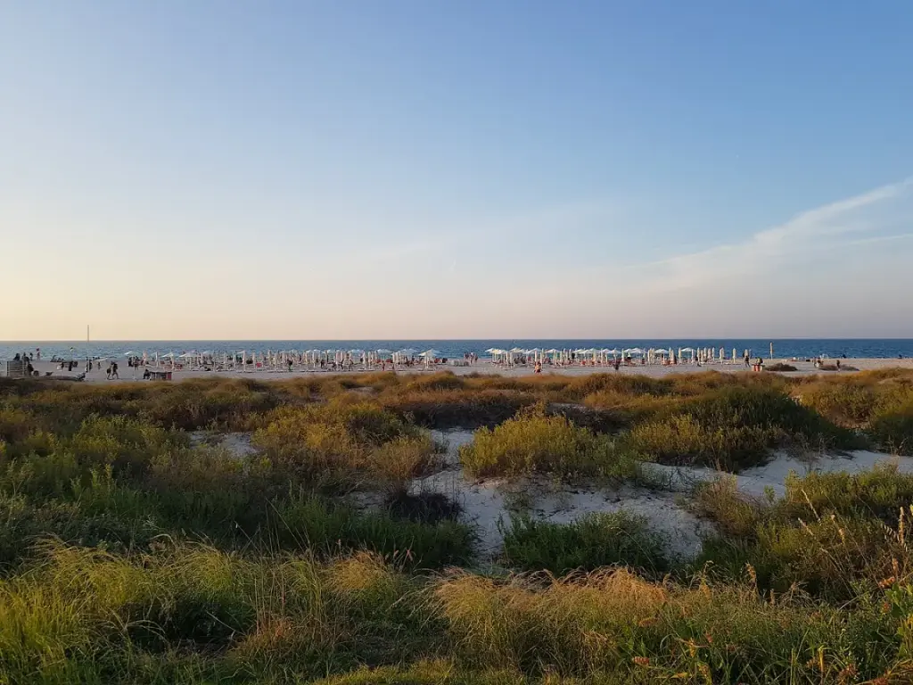 Saadiyat Beach