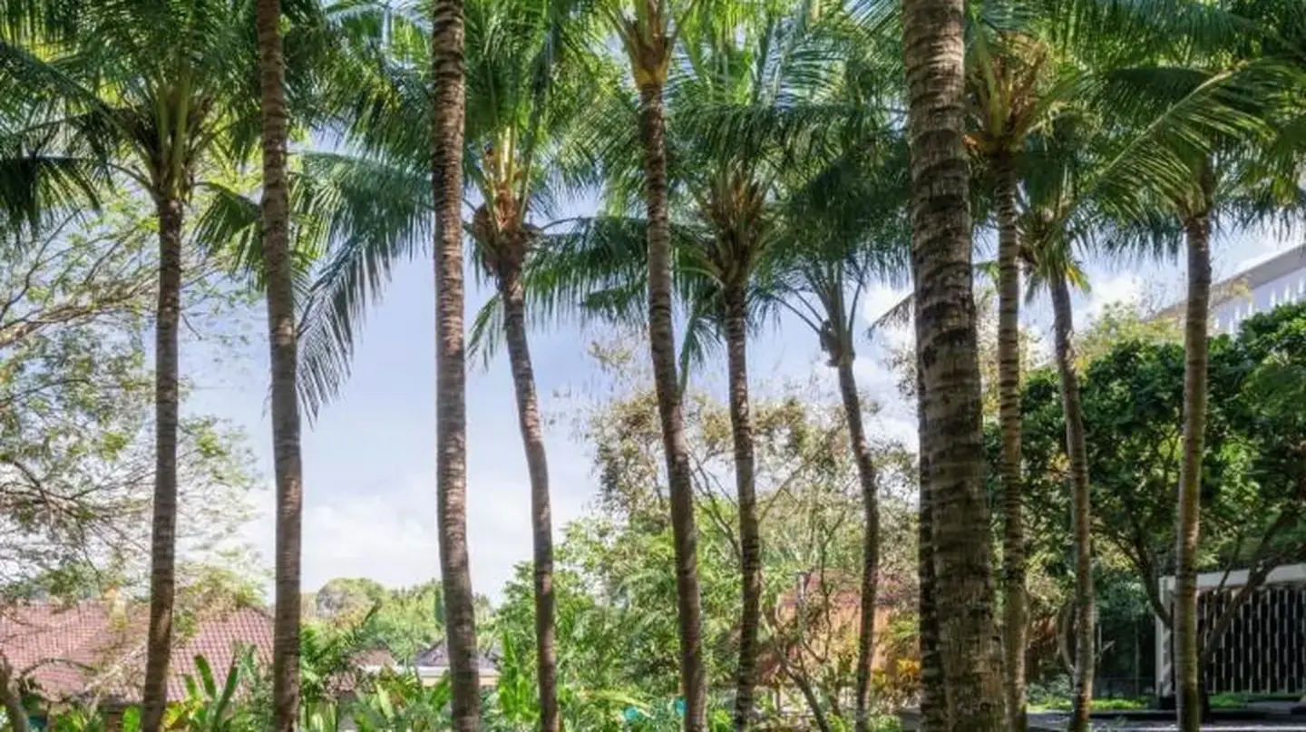 un baño con dos lavabos y un espejo en W Bali - Seminyak en Seminyak
